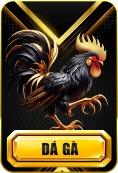 789WIN ⚡ Trang Chủ 789 WIN Mới Nhất ✔️ Tải App 789win +50K 10 Đá gà 789win